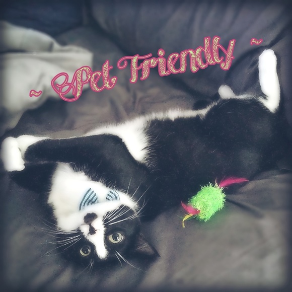  Pet-friendly Closet - Picture 2 of 2